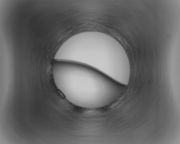 X0000110910521200906181008