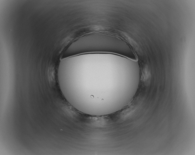 X0000110910524200906181008