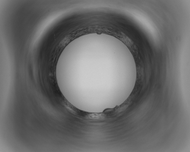 X0000110910526200906181008