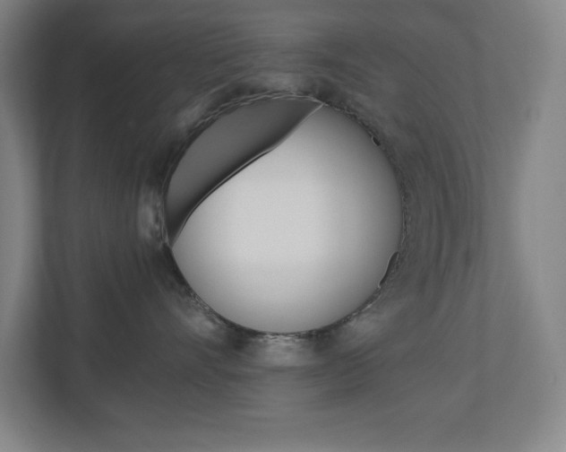 X0000110910528200906181008