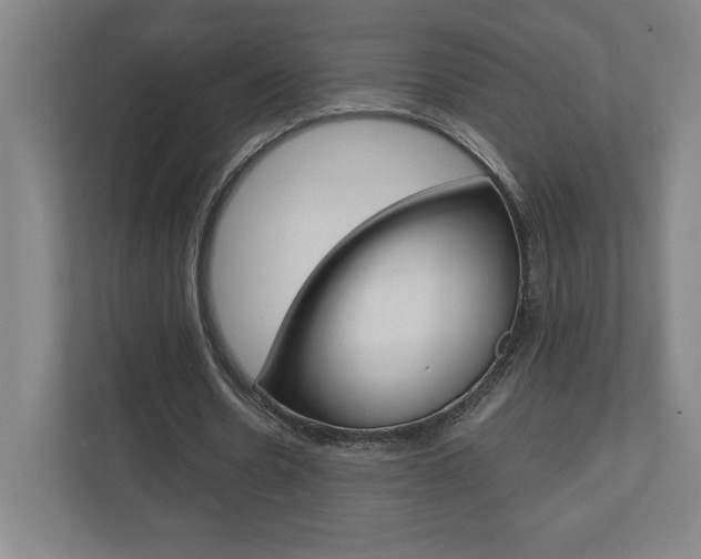 X0000110910530200906181008