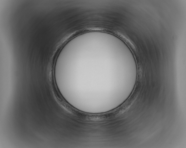 X0000110910533200906181008