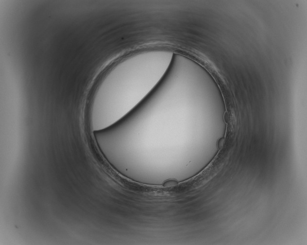 X0000110910535200906181008