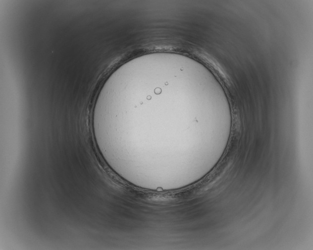X0000110910537200906181008