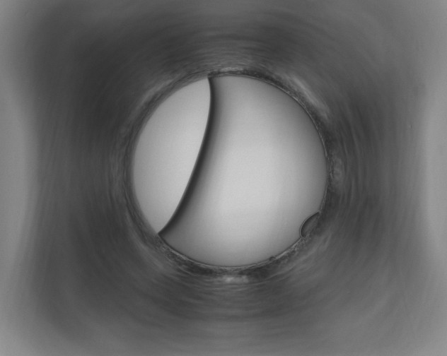X0000110910543200906181008