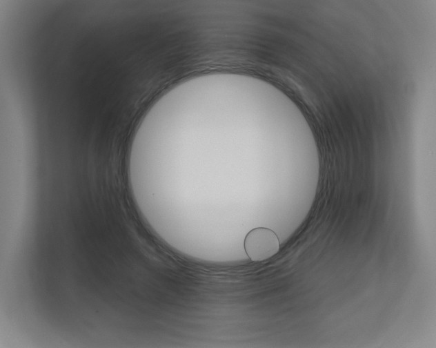 X0000110910546200906181008