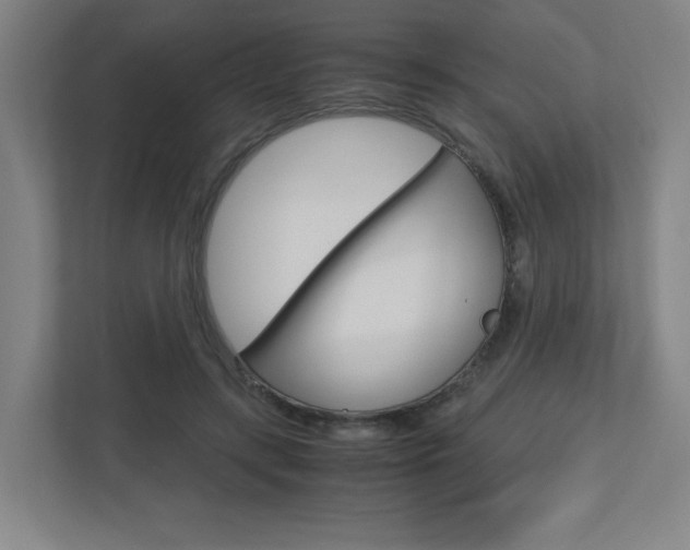 X0000110910547200906181008