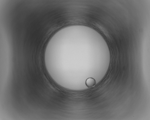 X0000110910548200906181008