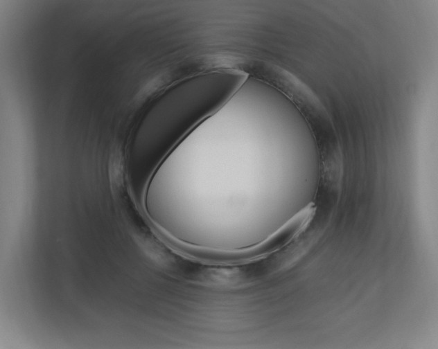 X0000110910552200906181008