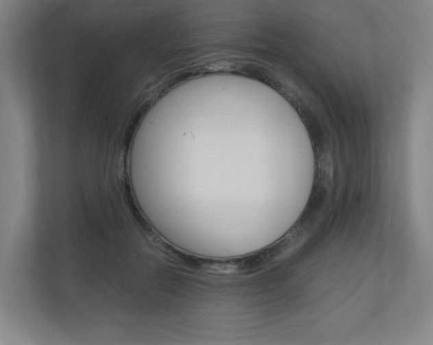 X0000110910554200906181008