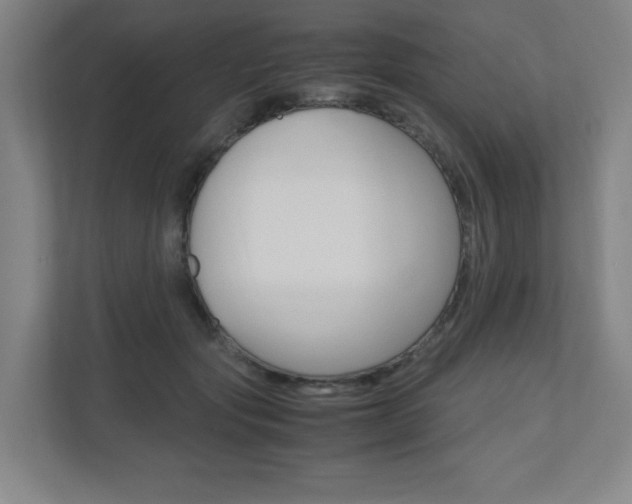 X0000110910557200906181008