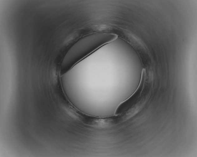 X0000110910558200906181008