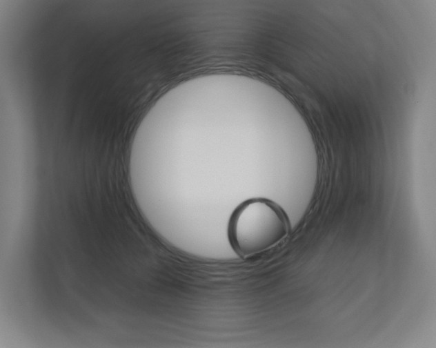 X0000110910560200906181008