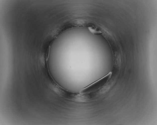 X0000110910562200906181008