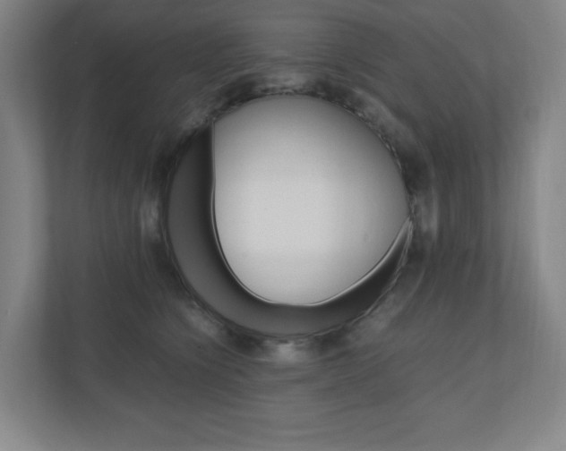 X0000110910564200906181008