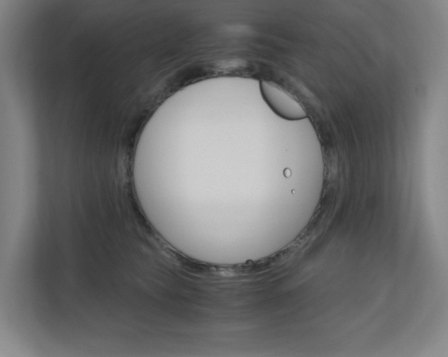 X0000110910565200906181008