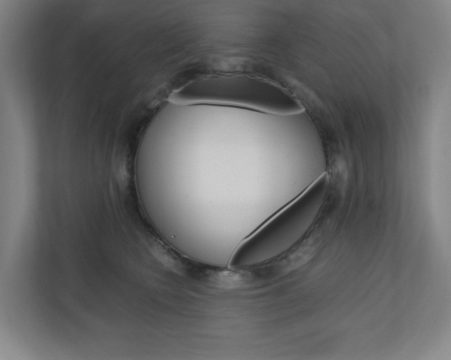 X0000110910566200906181008