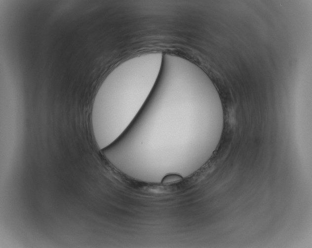 X0000110910567200906181008