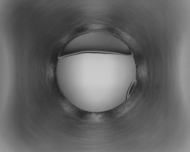 X0000110910570200906181008