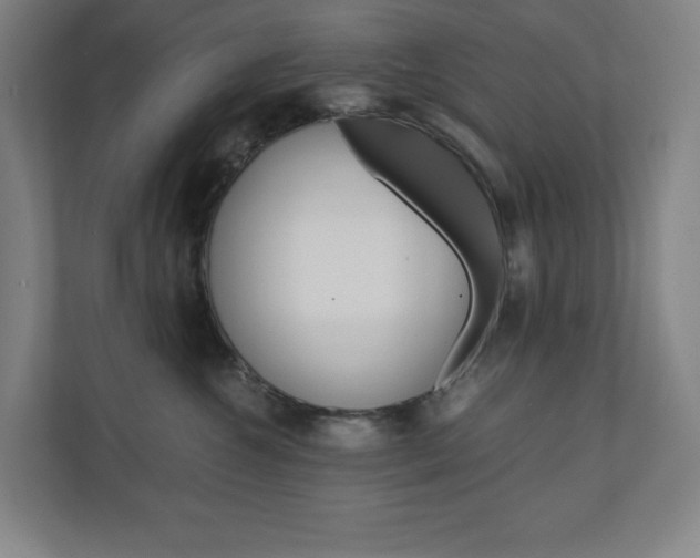 X0000110910572200906181008