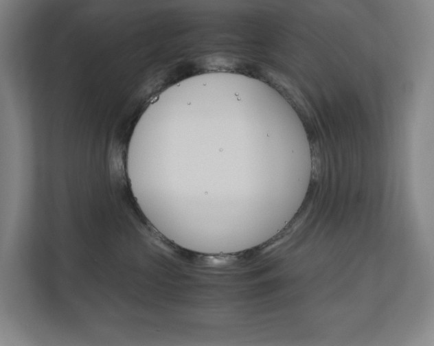 X0000110910573200906181008