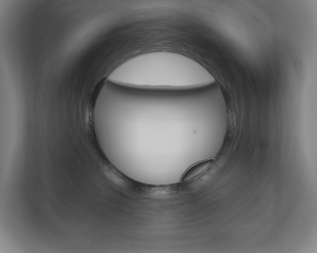 X0000110910574200906181008
