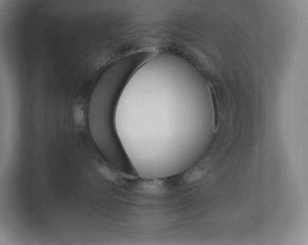 X0000110910576200906181008