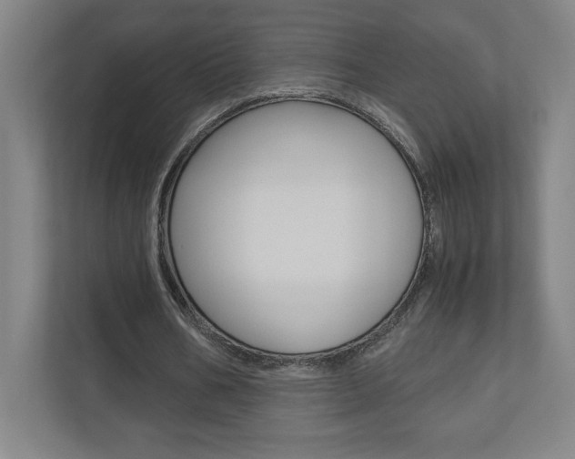 X0000110910578200906181008
