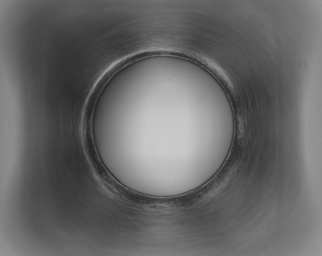 X0000110910580200906181008