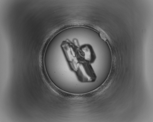 X0000110910581200906181008
