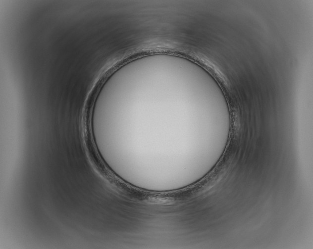 X0000110910582200906181008