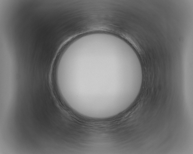 X0000110910583200906181008