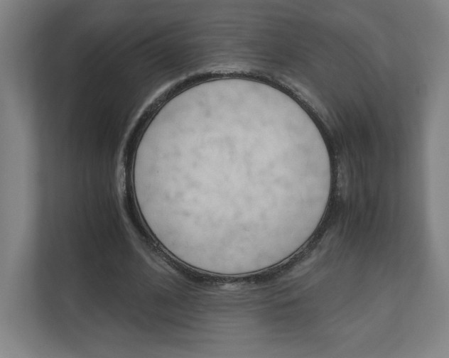 X0000110910584200906181008