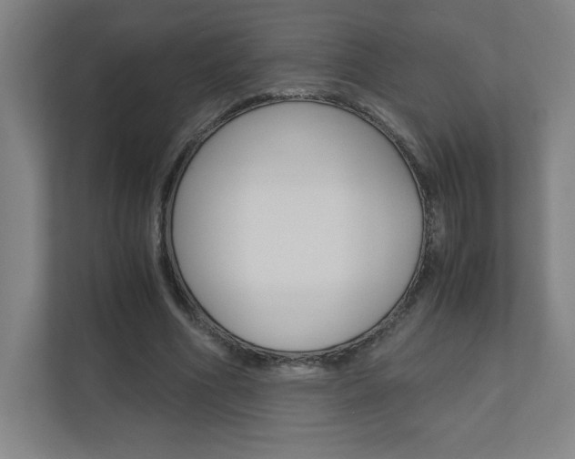 X0000110910586200906181008