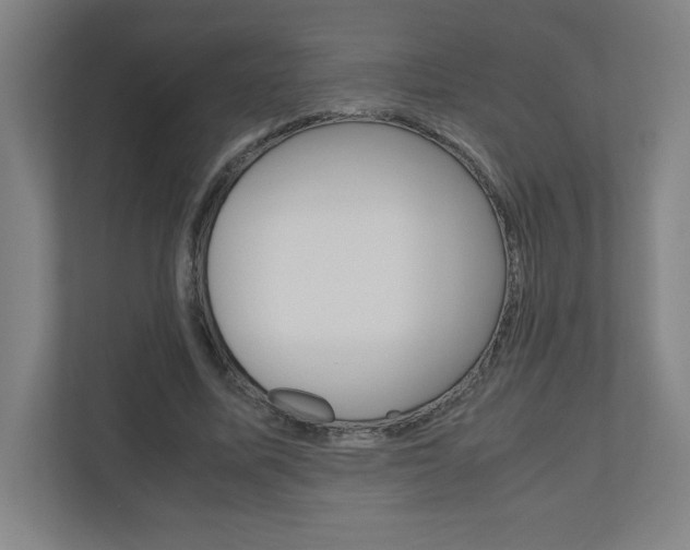 X0000110910587200906181008