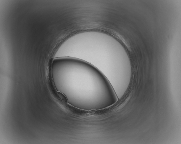 X0000110910589200906181008