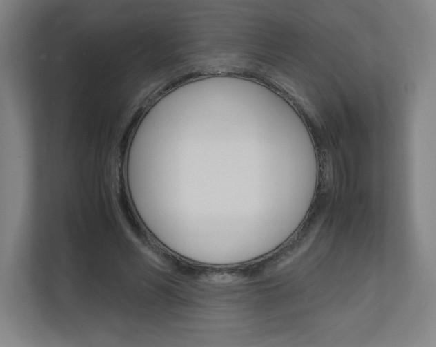 X0000110910590200906181008