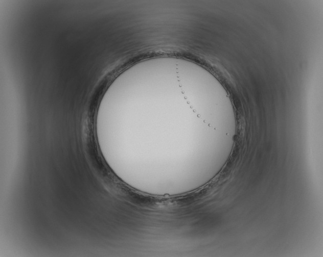 X0000110910591200906181008