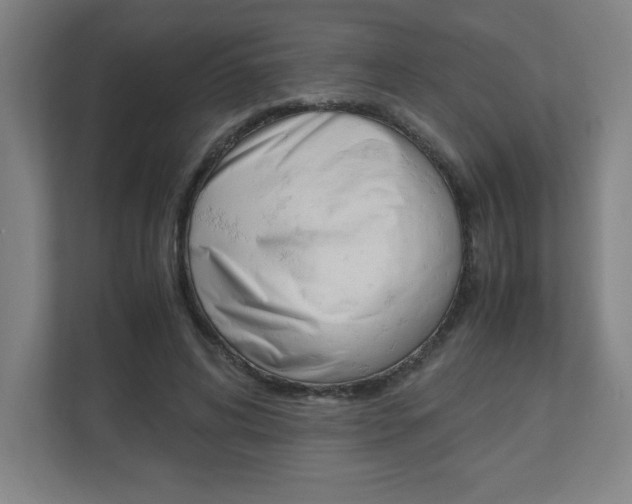 X0000110910592200906181008