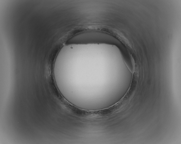 X0000110910593200906181008