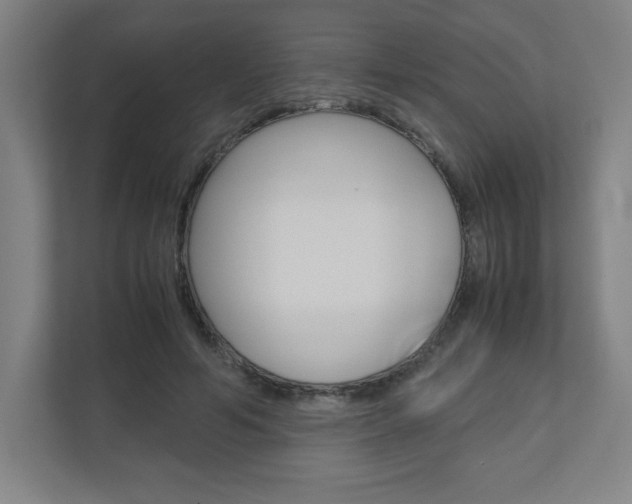 X0000110910594200906181008