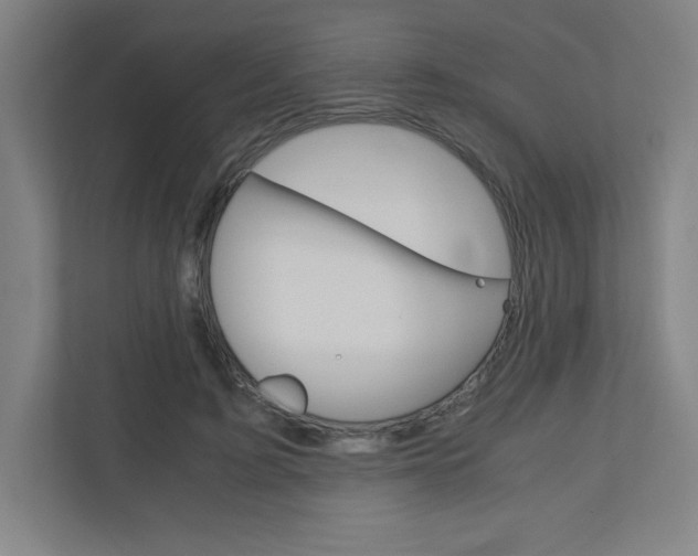 X0000110910595200906181008
