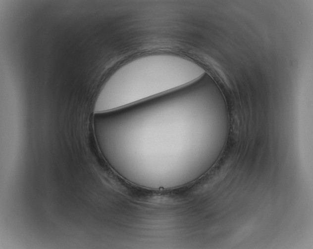 X0000110910596200906181007