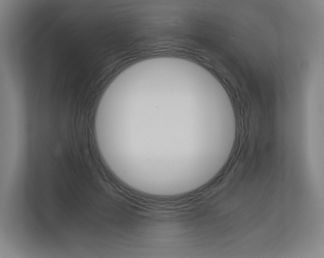 X0000110910599200906181007