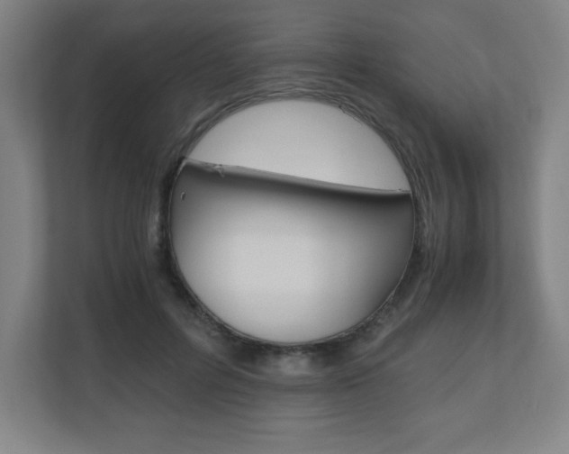 X0000110910600200906181007