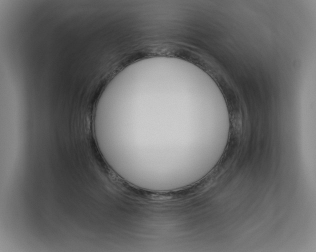 X0000110910602200906181007