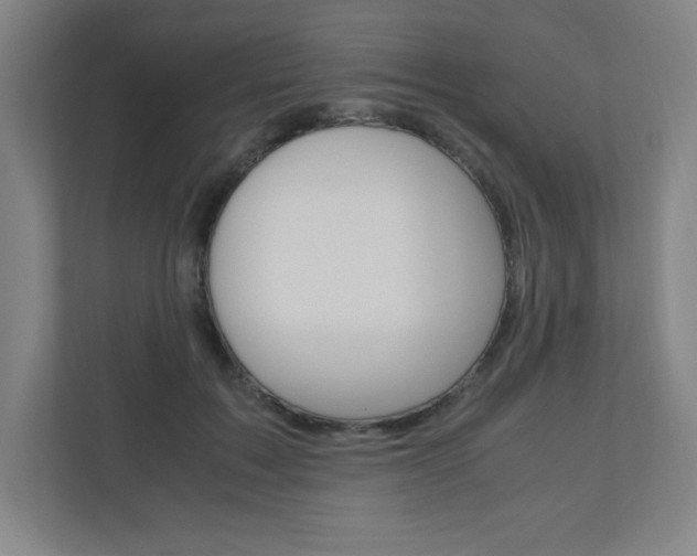 X0000110910603200906181007
