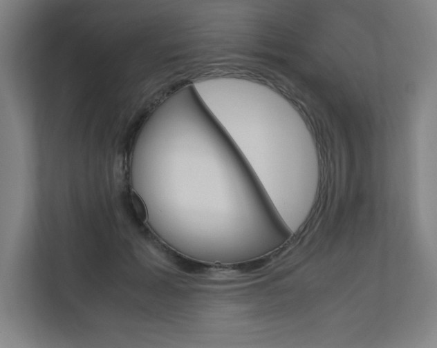X0000110910605200906181007