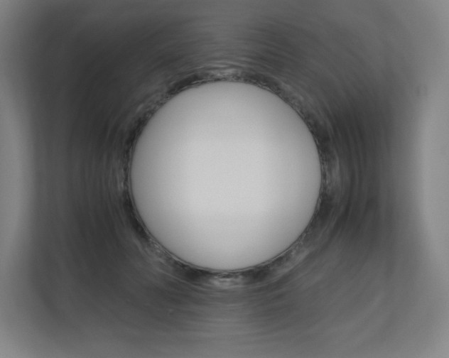 X0000110910606200906181007