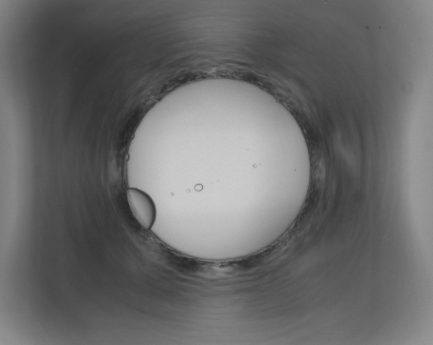 X0000110910607200906181007